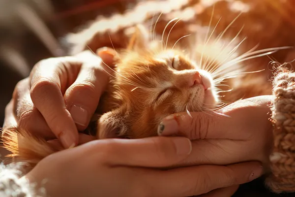 Persönliche Betreuung und Beratung